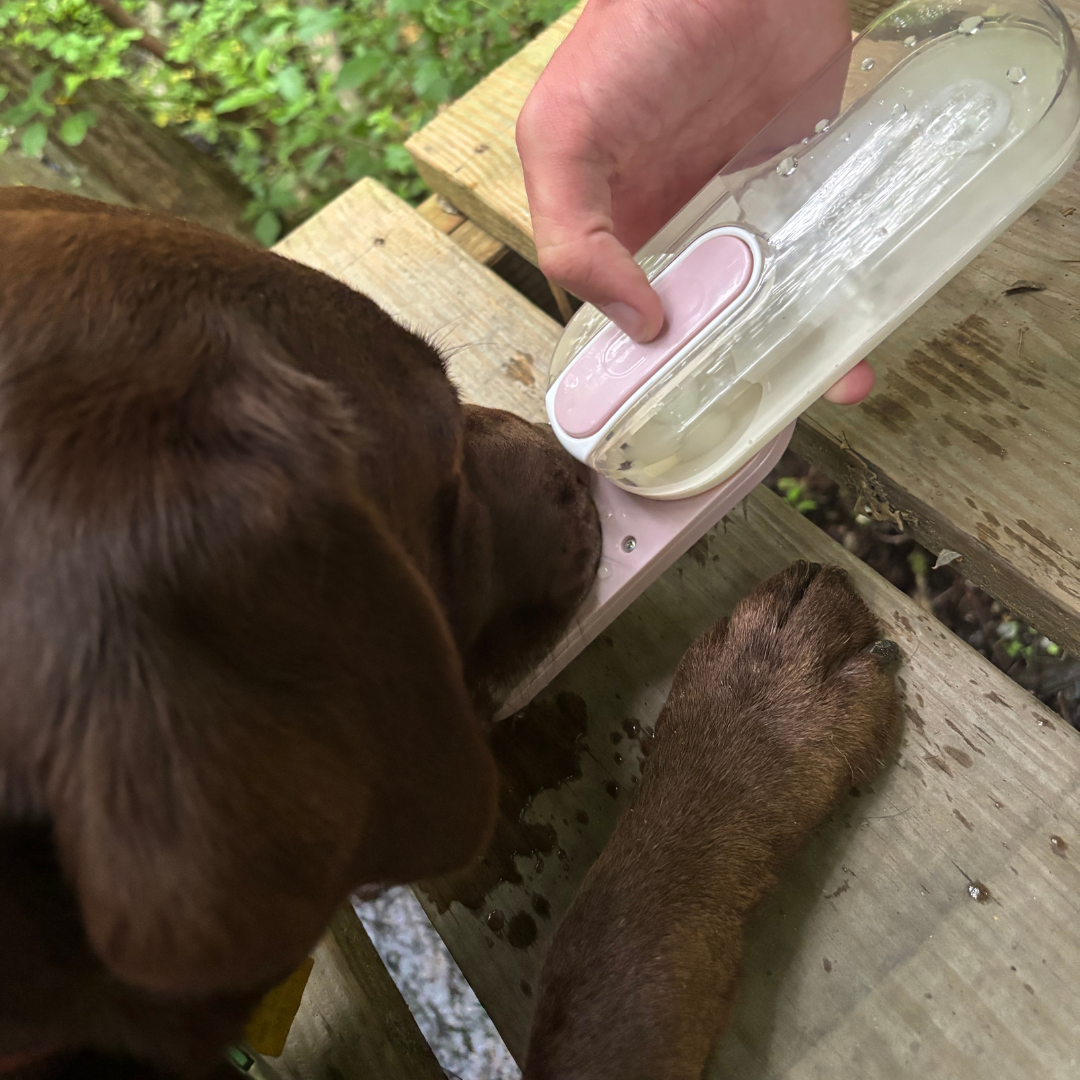 Foldable Pet Water Bottle