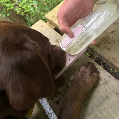 Foldable Pet Water Bottle